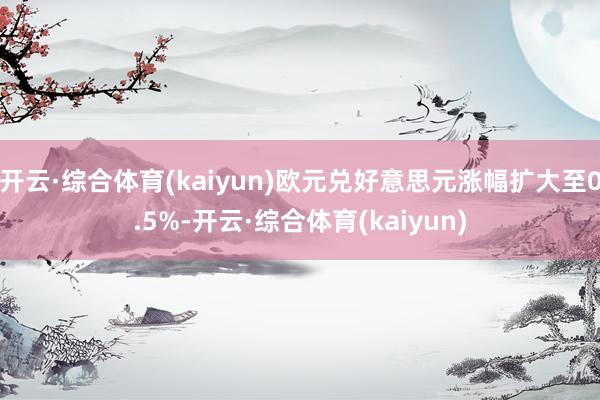开云·综合体育(kaiyun)欧元兑好意思元涨幅扩大至0.5%-开云·综合体育(kaiyun)