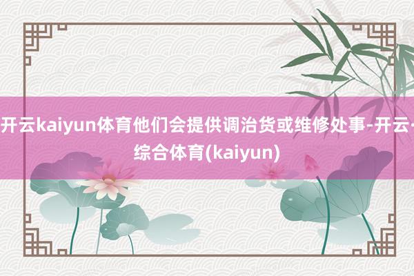 开云kaiyun体育他们会提供调治货或维修处事-开云·综合体育(kaiyun)