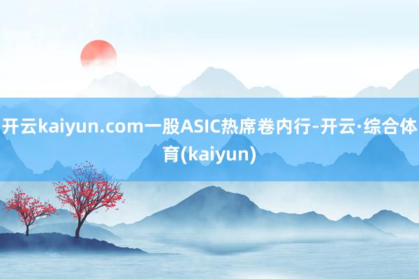 开云kaiyun.com一股ASIC热席卷内行-开云·综合体育(kaiyun)