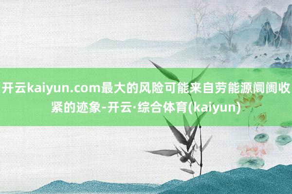 开云kaiyun.com最大的风险可能来自劳能源阛阓收紧的迹象-开云·综合体育(kaiyun)