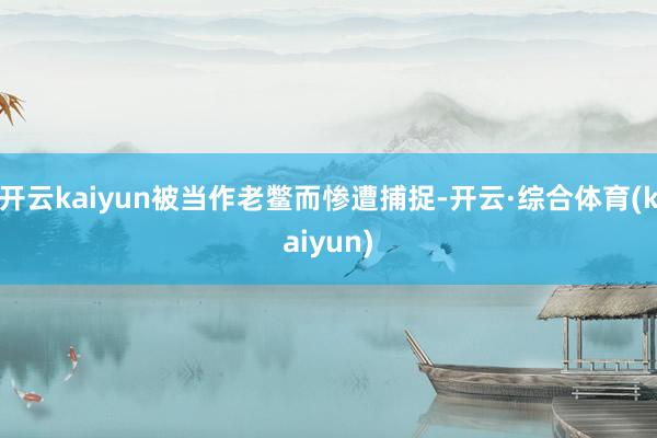 开云kaiyun被当作老鳖而惨遭捕捉-开云·综合体育(kaiyun)