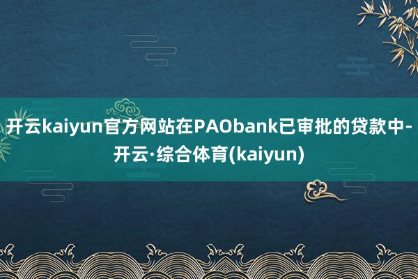 开云kaiyun官方网站在PAObank已审批的贷款中-开云·综合体育(kaiyun)