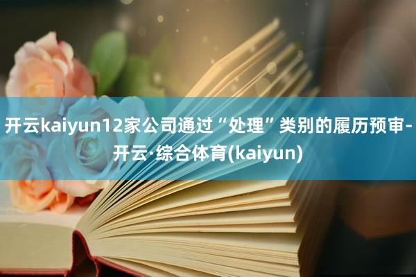 开云kaiyun12家公司通过“处理”类别的履历预审-开云·综合体育(kaiyun)