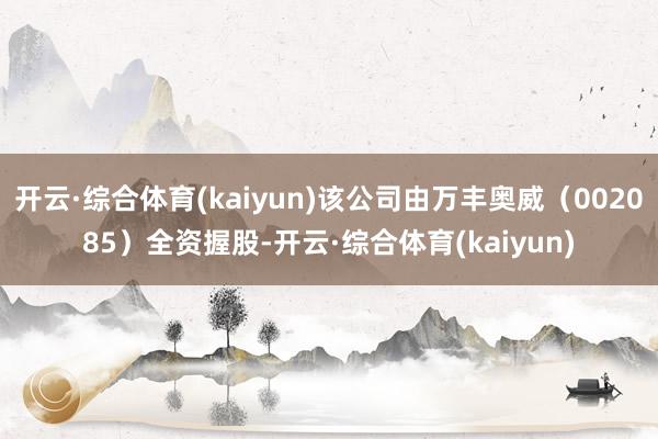 开云·综合体育(kaiyun)该公司由万丰奥威（002085）全资握股-开云·综合体育(kaiyun)