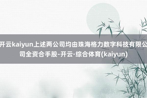 开云kaiyun上述两公司均由珠海格力数字科技有限公司全资合手股-开云·综合体育(kaiyun)