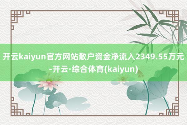 开云kaiyun官方网站散户资金净流入2349.55万元-开云·综合体育(kaiyun)