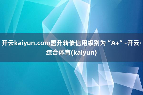 开云kaiyun.com盟升转债信用级别为“A+”-开云·综合体育(kaiyun)