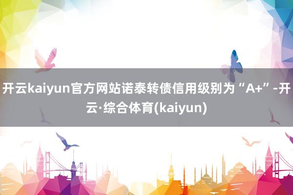 开云kaiyun官方网站诺泰转债信用级别为“A+”-开云·综合体育(kaiyun)