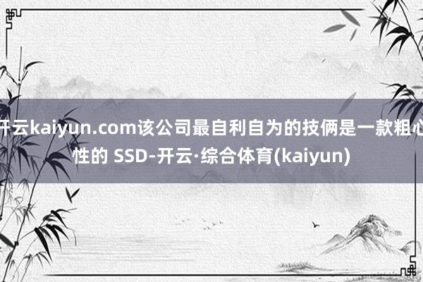 开云kaiyun.com该公司最自利自为的技俩是一款粗心性的 SSD-开云·综合体育(kaiyun)